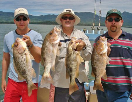 Multiple fingermark catches at Hinchinbrook