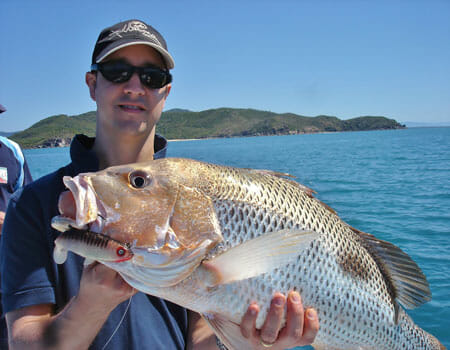 12_DSC05517-450-Fingremark-love-offshore-headlands Catch Golden Snapper on offshore headlands