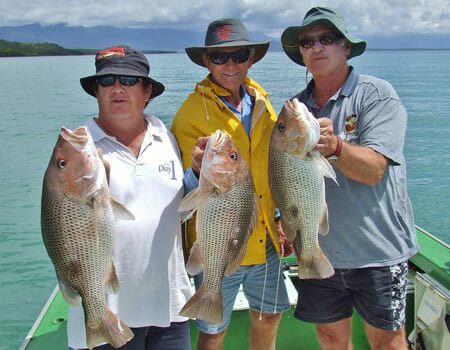 13_DSCF0956-450-Ryan-Moody-shows-how-to-catch-golden-snapper-in-his-finding-fingermark-online-fishing-course Ryan Moody shows how to catch golden snapper in his finding fingermark online fishing course